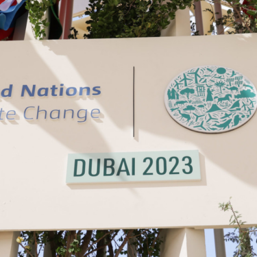 COP28 banner