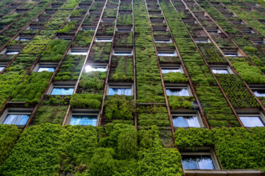 Wall,Of,High-rise,Building,Covered,With,Plants,,Reflection,Of,Sunlight