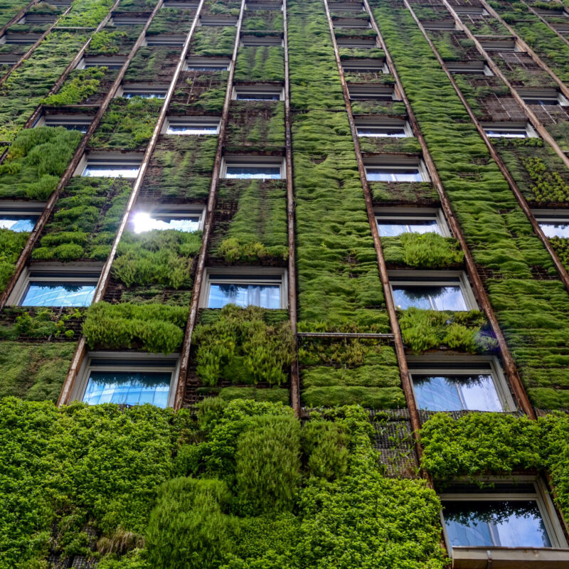 Wall,Of,High-rise,Building,Covered,With,Plants,,Reflection,Of,Sunlight