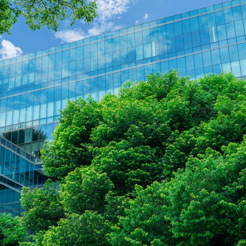 Eco-friendly,Building,In,Modern,City.,Sustainable,Glass,Office,Building,With